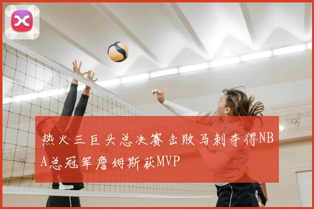 热火三巨头总决赛击败马刺夺得NBA总冠军詹姆斯获MVP