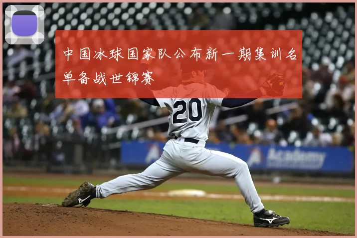 中国冰球国家队公布新一期集训名单备战世锦赛