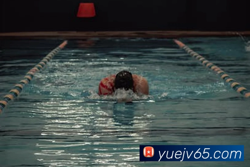 多媒体互动体验